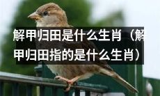 请问解甲归田这个成语所指的是哪个生肖呢？