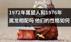1972年出生的属鼠人和1976年出生的属龙人是否具有相容性?分析两者的个性特质