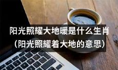 哪些生肖在阳光照耀大地的时候具备温暖和活力的特质?