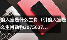 引狼入室是哪种动物的生肖符号？探究3075627这个问题的答案