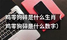 鸡零狗碎作为何种生肖/数字存在？