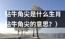 什么是“钻牛角尖”的意思和它对应的生肖是什么?