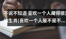 探秘藏得极深且含蓄难懂的生肖,揭开喜欢一个人时语言上的尴尬之谜