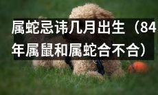 破解属蛇开运之道:哪几个月份出生最忌讳?84年属鼠和属蛇的人命相合吗?