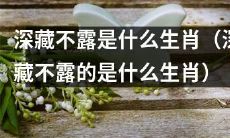 你知道哪一个生肖是深藏不露的吗？