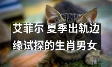 夏季出轨边缘试探下的生肖男女：艾菲尔的故事