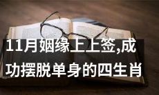 展望11月 - 姻缘顺遂的上上签，成功脱单的四大生肖！