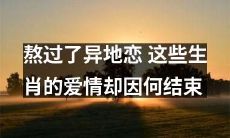 这些生肖熬过了异地恋，可是为什么他们的爱情却走到了终点？