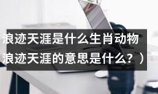 生肖解密：浪迹天涯的动物形象是什么？浪迹天涯的含义是什么？