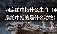 究竟是哪只动物被称为羽扇纶巾？——解密羽扇纶巾指代的生肖
