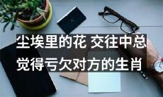 哪些生肖在交往中总觉得亏欠对方，如同尘埃中的一朵花？