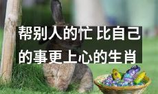 哪个生肖更注重帮助他人而非自我事务？