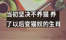 从一开始坚决不养猫，到最终变身为猫奴的生肖经历：探究猫咪的魅力与魔力