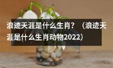 2022年你知道浪迹天涯代表哪个生肖动物吗？