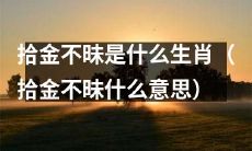 拾金不昧素被誉为高尚品质的神兽，你知道拾金不昧究竟属于哪个生肖吗？（探讨拾金不昧的意义与生肖归属）