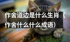 在道边作舍的时候，你是否知道自己属于哪个生肖呢？（以作舍成语为线索的回答）