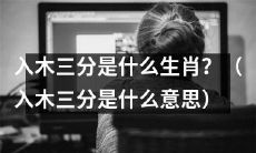 请问依据生肖十二宫，入木三分生于哪个年份？（同时解释入木三分的含义）
