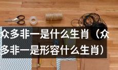 有哪些生肖不属于“一”（众多非一是用来形容哪些生肖的描述）？