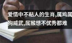 在爱情中不过分依赖伴侣的生肖，独立自主的属鸡和属狗显得更加强大，而属猴即便不想成为优秀者也难以做到