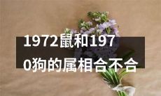 请问1972年出生的鼠和1970年出生的狗，属相相合程度如何？