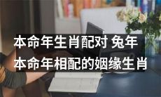经典推荐：兔年本命年相配的姻缘生肖！一份涵盖12生肖的全面生肖配对指南！