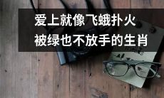 从飞蛾扑火的套路到被绿也不松口的情感,探寻各生肖爱情的追逐与放不下