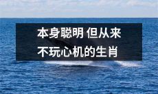 十二生肖中自带聪明却从不策略变通的动物大全