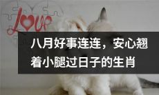 八月降临,诸多好事连连,让这些生肖可以安心翘着小腿过上幸福的日子!