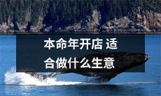 在本命年开店，哪些生意最合适经营？
