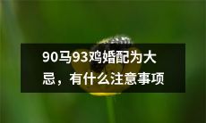 有哪些注意事项需要遵循，以避免因90马93鸡婚配而遭遇大忌？