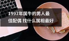 1997年属牛的男生应该寻找什么属相女生作为最佳配偶？
