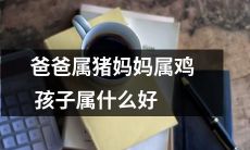 如果爸爸是猪，妈妈是鸡，那么孩子的属相应该是什么呢？