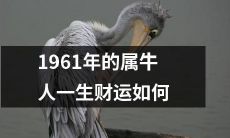 探究1961年属牛人的一生财运,从生肖学角度分析其财富走势与命运趋势