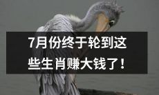在七月，终于轮到这些十二生肖赚取不少财富的时候到来了！