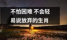 具有勇往直前精神,面对挑战不退缩,坚定不移,从不轻言放弃的生肖
