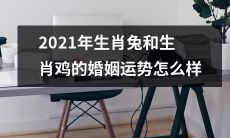 2021年生肖兔和生肖鸡的婚姻运势预测与分析:情感发展、婚姻稳定、家庭幸福、职场压力等各方面解读