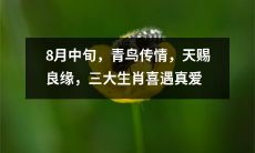 在八月中旬,受青鸟传情的祝福,天象所赐良缘,幸运的三大生肖终于喜获真爱