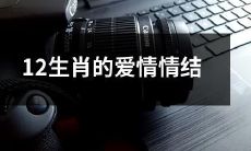 十二生肖的情感观与爱情情结：来自不同星座的真情告白