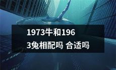 1973年出生的牛和1963年出生的兔是否适合在一起？