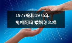 1977年的蛇和1975年的兔适合婚姻吗？他们的爱情道路是否注定充满挑战？