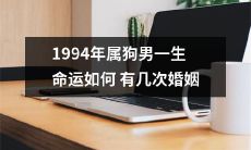 被狗年出生的男性：1994年属狗者的终身命运——是否迎来多次婚姻的挑战？