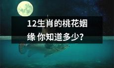 你了解几多关于12生肖在桃花运上的前缘后缘？