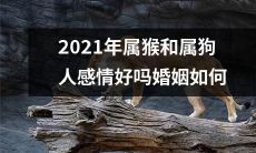 2021年属猴和属狗人的感情以及婚姻状况是如何的？