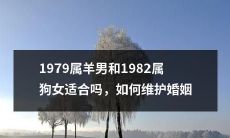 如何维持1979属羊男和1982属狗女之间的婚姻关系？他们是否存在相克的风险，需要注意哪些方面？让我们一起来看看这对星座组合能否建立一份美满的婚姻