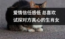 具有低爱情信任感，总是试图探究伴侣真心的性格特质明显的十二生肖女人