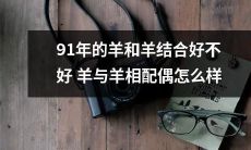 1991年出生的羊是否适合与同属羊的合为一体，探讨羊与羊之间的搭配是否具有适宜性？