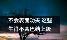 如何在职场脱颖而出？不要沉迷于表面功夫，这些生肖不会巴结上级的方法值得一试！