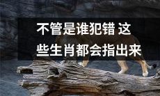 无论是谁犯错，这些与生俱来的十二生肖都没有主动躲避指出真相的勇气