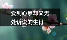 十二生肖中心累无从述说却爱得深沉的生灵