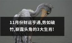 破解虎年财运:11月份三大生肖势头如破竹,财运亨通逐渐崭露头角!